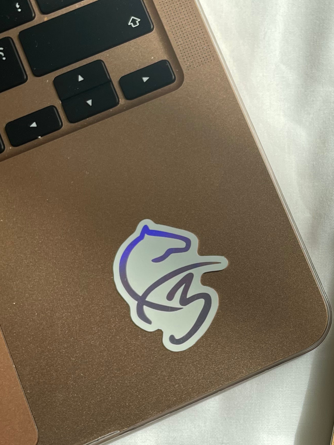 Faza3 Logo Sticker